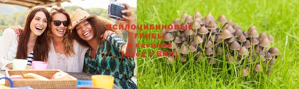 гашиш Баксан