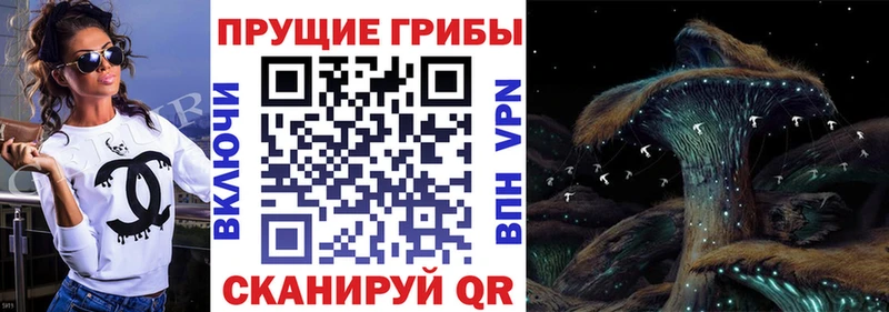 Псилоцибиновые грибы GOLDEN TEACHER  Краснослободск 